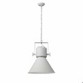 Homeroots 20.5 x 17.75 x 17.75 in. Crew 1-Light White Pendant 398268